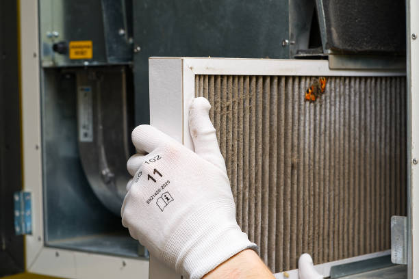 Best Air Vent Cleaning Services  in Ome, GA